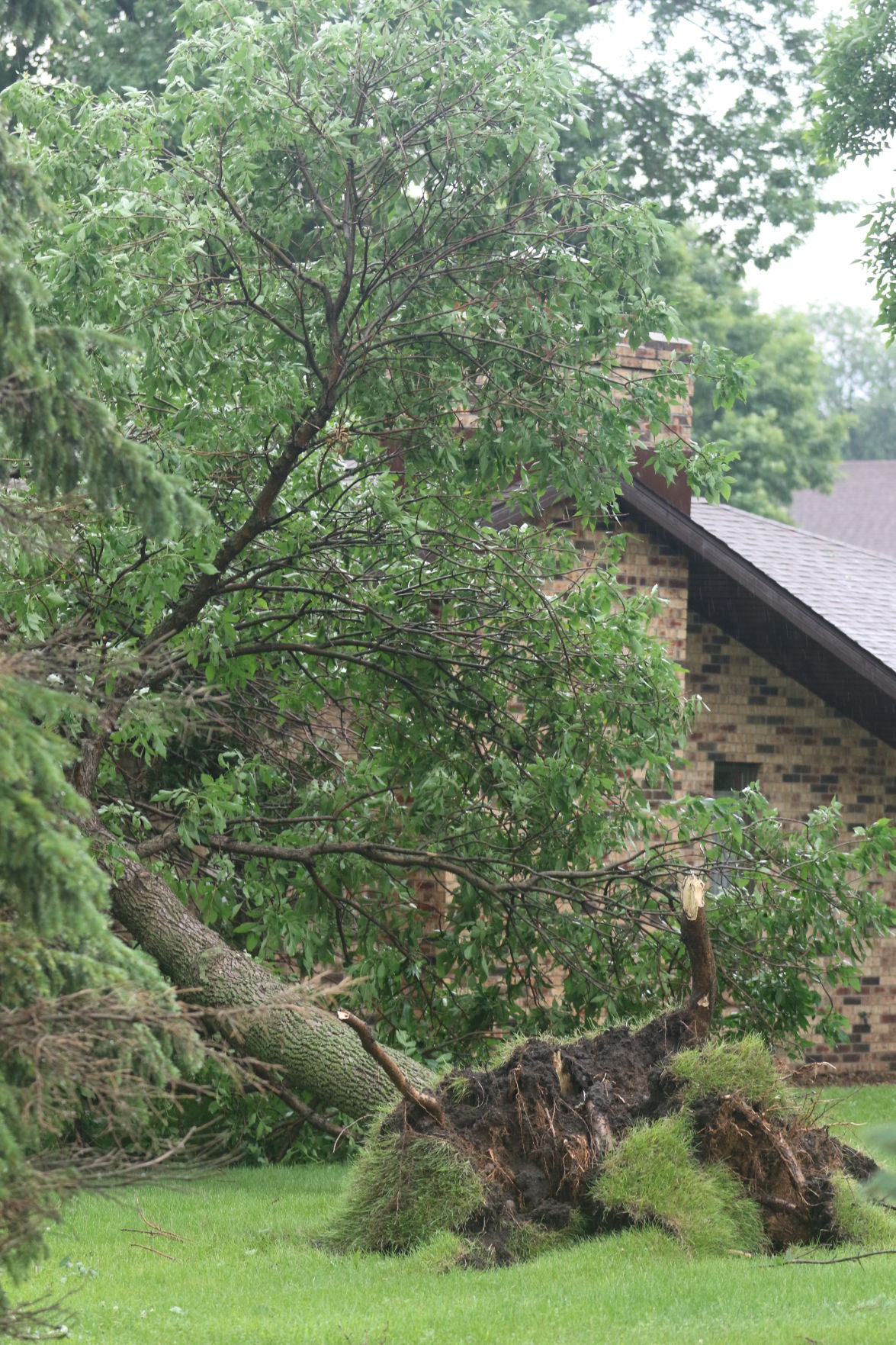 RiverOaks_5836.JPG